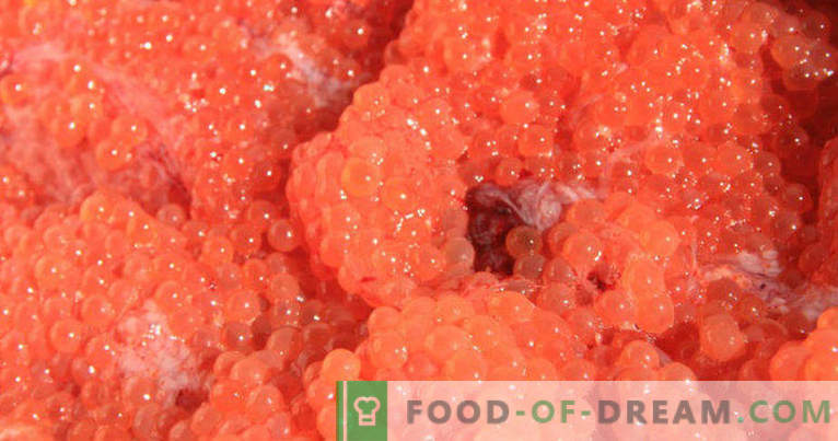 Comment mariner correctement et savoureux le caviar rouge à la maison