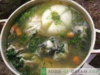 Soupe de maquereau frais congelé, recettes avec photos. Comment faire cuire la soupe de maquereau