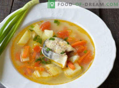 Soupe de maquereau frais congelé, recettes avec photos. Comment faire cuire la soupe de maquereau