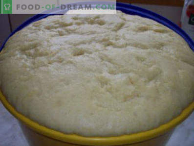 Pâte pour tartes au lait fermenté, levure, pour tartes frites et cuites au four