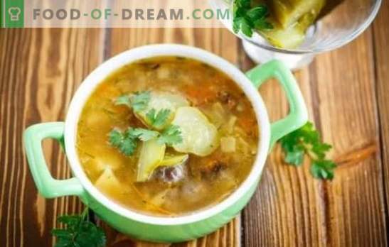 Pickle aux champignons - une soupe aromatique. Des recettes simples à très simples - nous cuisinons des cornichons à la maison avec des champignons et de la viande sans viande