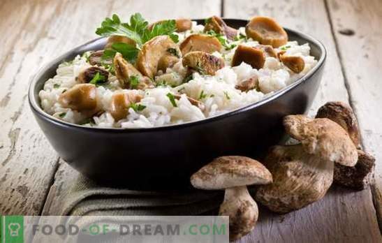 Risotto aux champignons - les secrets et les subtilités de la cuisine italienne. Recettes de délicieux risotto aux champignons