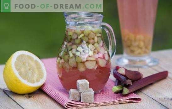 Rhubarb Kvass est une boisson idéale pour une journée chaude. Les meilleures recettes de kvass à la rhubarbe avec épices, menthe, citron, miel