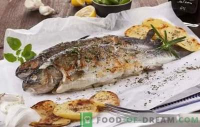 Attraper du poisson, tout est délicieux sur le gril! Recettes de poisson de mer et de rivière grillées: aide à la cuisine pour les pêcheurs et les amateurs de délicieux poissons