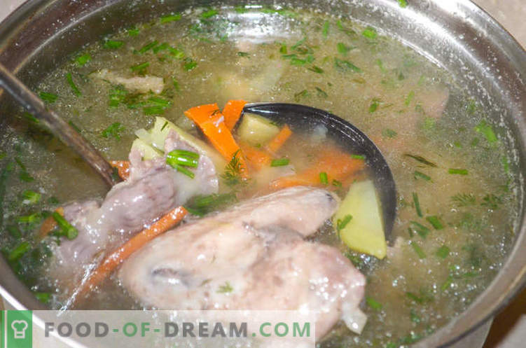 Soupe aux abats de poulet ou comment faire cuire la soupe Gleb Zheglov - recette