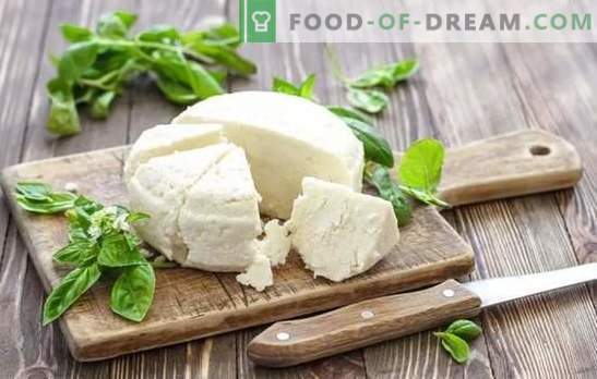 Le fromage au lait aigre est un produit laitier naturel. Variantes de cuisson du fromage de yaourt à la maison