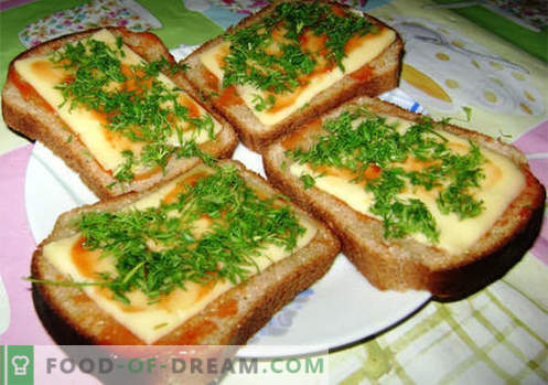 Les sandwichs au fromage sont les meilleures recettes. Comment cuire rapidement et savourer des sandwichs au fromage.