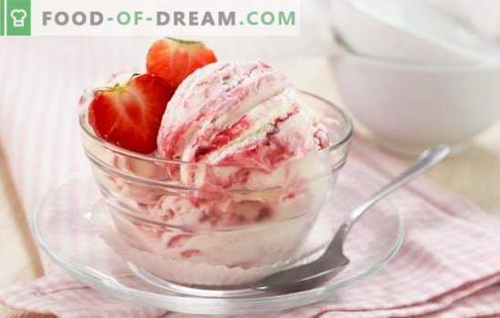 Glace artisanale aux fraises - goût crémeux de l’enfance. Les meilleures recettes de glaces artisanales aux fraises, subtilités et secrets