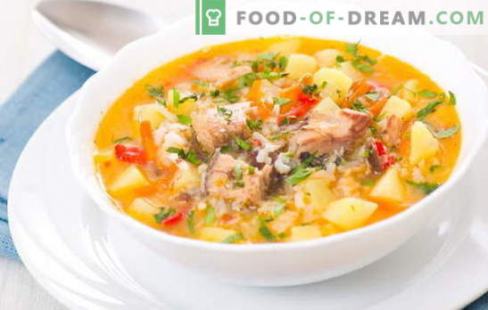 La soupe de poisson avec du riz est une entrée légère et savoureuse pour le déjeuner. Les meilleures recettes pour cuisiner une soupe de poisson avec du riz
