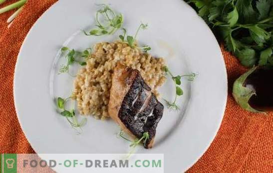 Le steak de poisson-chat au four est un ajout savoureux et sain au plat d’accompagnement. Comment faire cuire un steak de poisson-chat au four avec des légumes, du riz, de l’ail