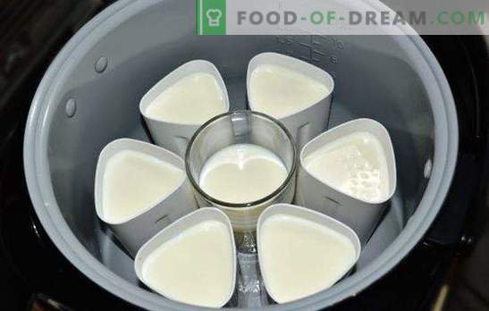 Le yaourt dans une casserole en bocaux est un mets délicieux et sain. Variétés de yaourt du multicuiseur dans des bocaux
