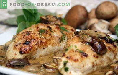 Le filet de poulet aux champignons au four est la meilleure solution pour un dîner en famille. Méthodes de cuisson du filet de poulet aux champignons au four