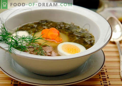 Soupe à l'oseille - des recettes éprouvées. Comment bien et savoureux cuire la soupe à l'oseille.