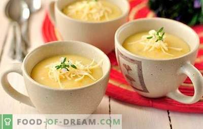 Soupe de pommes de terre: épaisse ou mince? Une sélection de recettes de soupe de pommes de terre en purée: avec haricots, champignons, courgettes, crevettes