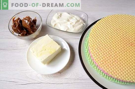 Pastel de waffle: una receta fotográfica paso a paso. Preparar un pastel de gofres a partir de pasteles preparados con leche condensada: ¡sencillo y muy sabroso!