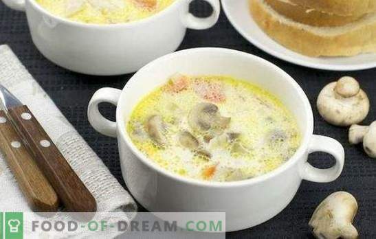 Soupe de poulet aux champignons - un excellent premier plat. Recettes simples pour soupe de poulet aux champignons: fraîche, séchée et en conserve