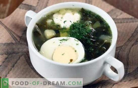 Soupe verte - apport en vitamines et goût vif! Recettes de diverses soupes vertes à l'oseille et au chou, champignons, poisson, orties, haricots