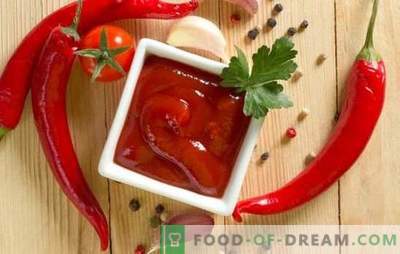 Kebab sauces - recipes for delicious eating! The best combinations, cooking, recipes of sauces for kebab from meat, poultry, fish