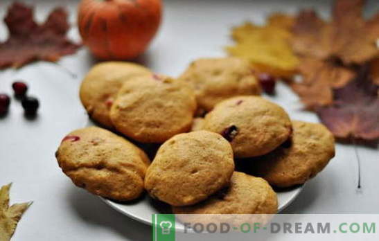 De simples biscuits savoureux au kéfir - la tradition de la cuisson à la maison. Recettes de biscuits simples sur kéfir: flocons d'avoine, à la cannelle, au chocolat, aux noix, aux graines de pavot, etc.