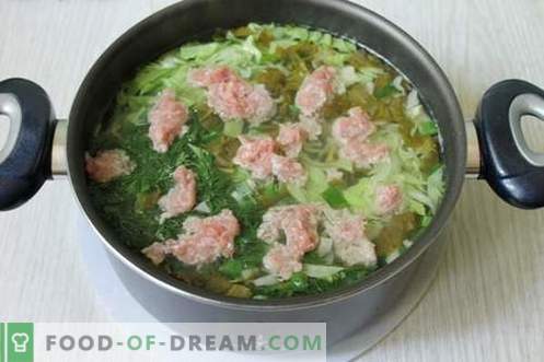 Grüne Suppe aus jungem Gemüse - Sommergericht für jeden Tag