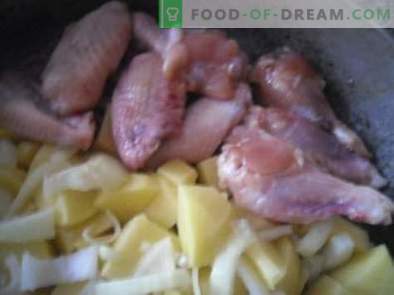 Comment faire cuire de délicieuses ailes de poulet au four avec du miel et de la sauce soja