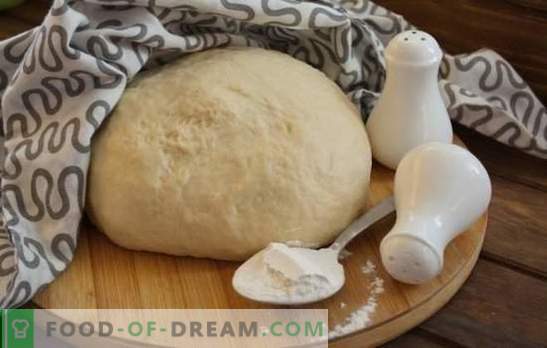 Pâte à tarte pour mayonnaise avec et sans levure. Recettes de pâte simples pour tartes à la mayonnaise