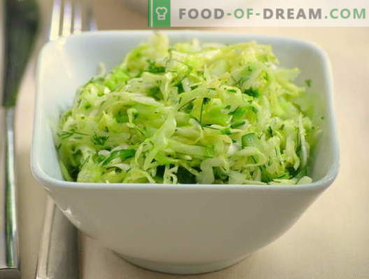 Salades de chou et concombre - cinq meilleures recettes. Comment cuire correctement et savourer des salades avec du chou et des concombres.