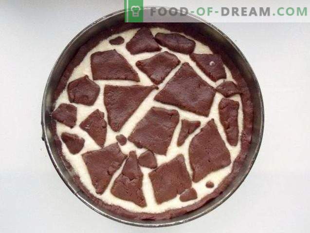 gâteau au fromage et au chocolat girafe
