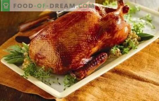 Pato casero en el horno: recetas paso a paso de un ave rojiza, jugosa y fragante. Cocinar pato casero en el horno usando recetas paso a paso