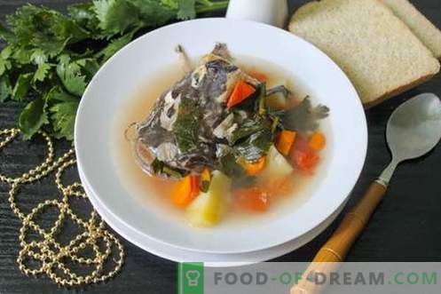 Soupe de poisson-chat - comment la cuire correctement et savoureuse (recette avec photos)