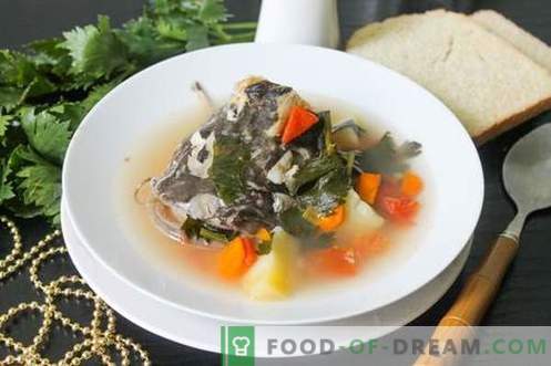 Soupe de poisson-chat - comment la cuire correctement et savoureuse (recette avec photos)