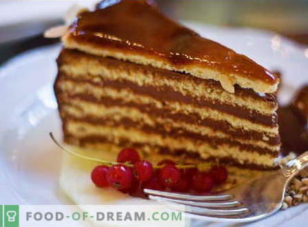 Gâteau fait à partir du gâteau - les meilleures recettes. Comment bien et savoureux faire un gâteau à partir du gâteau.