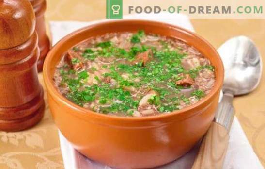 Soupe classique de Kharcho - recettes intéressantes. Cuisson soupe classique kharcho de boeuf, agneau, porc