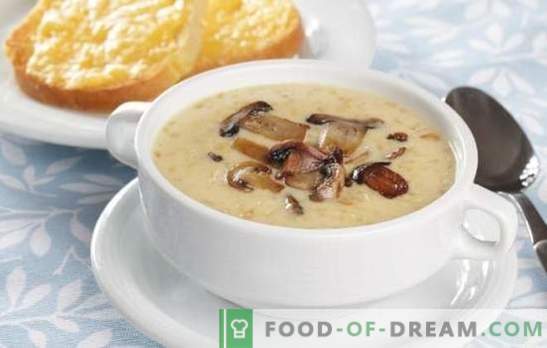 Soupe au fromage et aux champignons - Dîner surprise chez soi. Recettes de soupe au fromage et aux champignons: lisez et cuisinez!