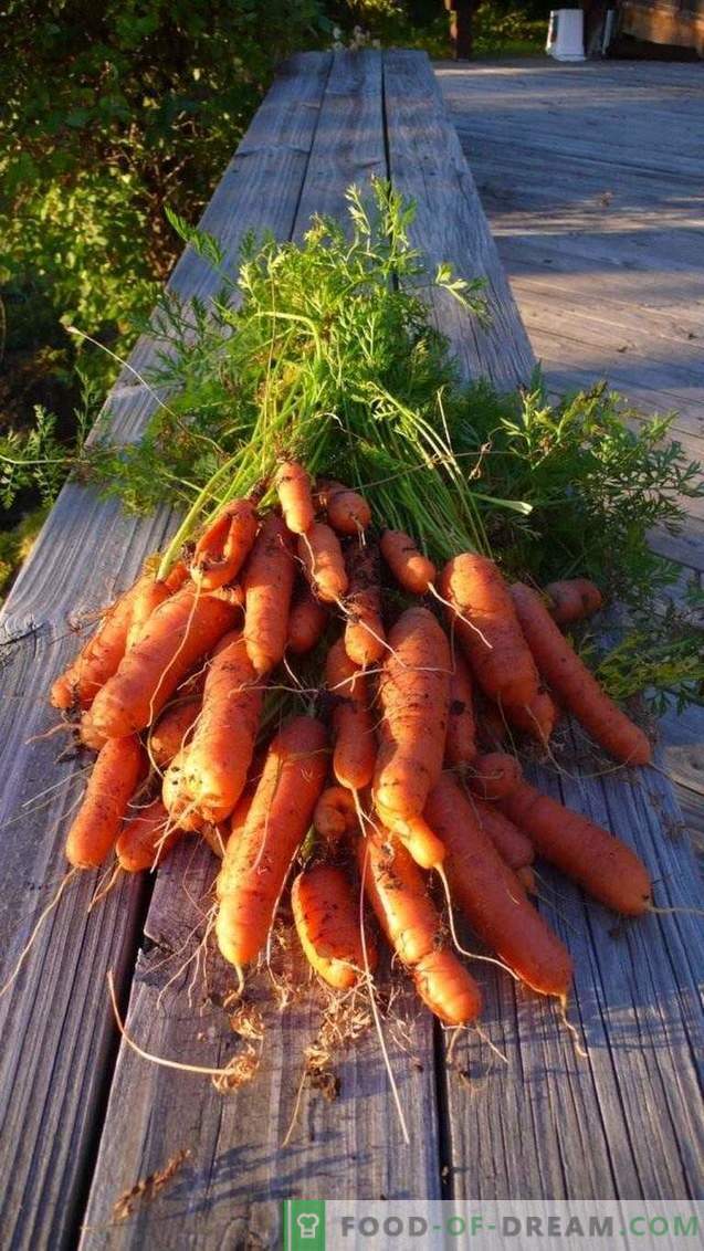 Propriétés utiles des carottes