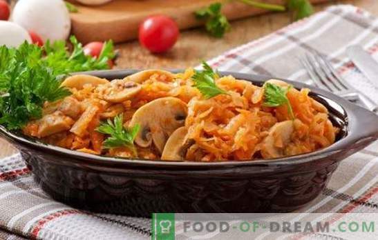 Les plats de carême aux champignons sont un excellent substitut à la viande. Recettes de divers plats de lentilles aux champignons: salades, soupes, bigus, ragoûts