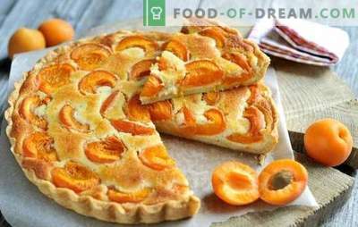 Tarte simple aux abricots - n'importe qui peut s'en occuper! La cuisson des tartes aux abricots d'été: des recettes simples pour tous