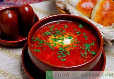 Borsch vert, rouge, maigre, ukrainien - les meilleures recettes. Comment bien et savoureux cuire la soupe avec des haricots, des champignons, l'oseille dans une mijoteuse.