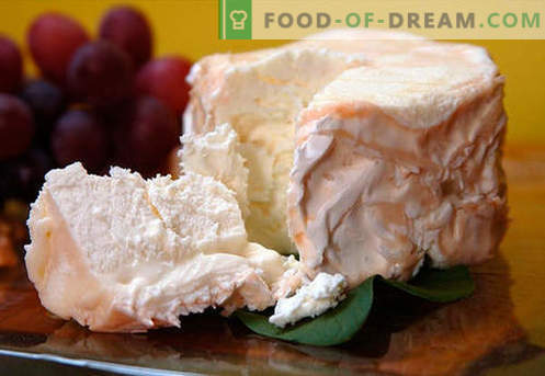 Fromage fait maison - les meilleures recettes. Comment bien cuire du fromage à partir de fromage cottage ou du lait à la maison.