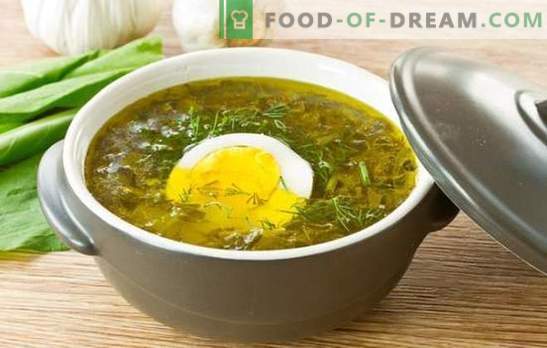Soupe à l'œuf et à l'oseille: recettes étape par étape allant du copieux au diététique. Cuisiner ensemble des soupes d’oseille avec un œuf avec du riz, du fromage et des flocons d’avoine